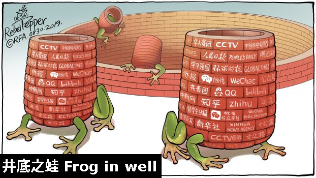 Frog in well
