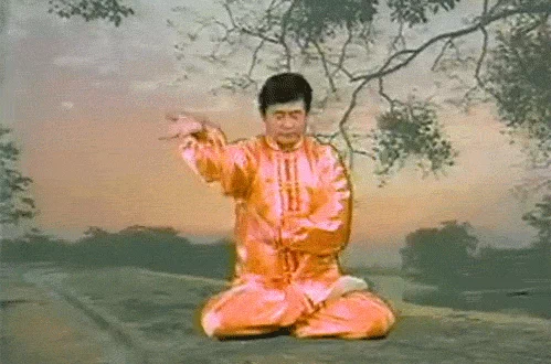 Li Hongzhi dubstep