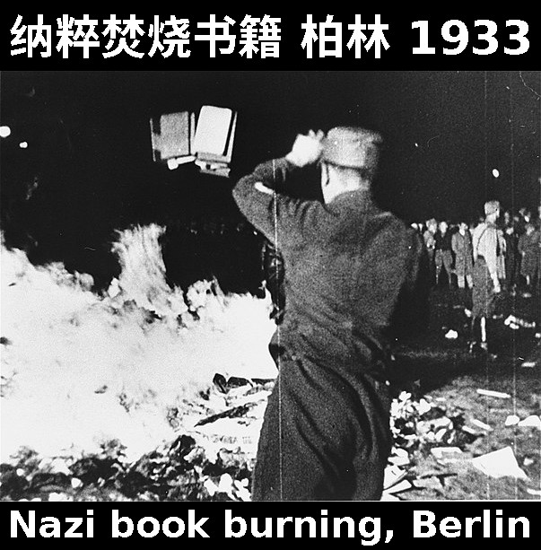 Nazi book burning